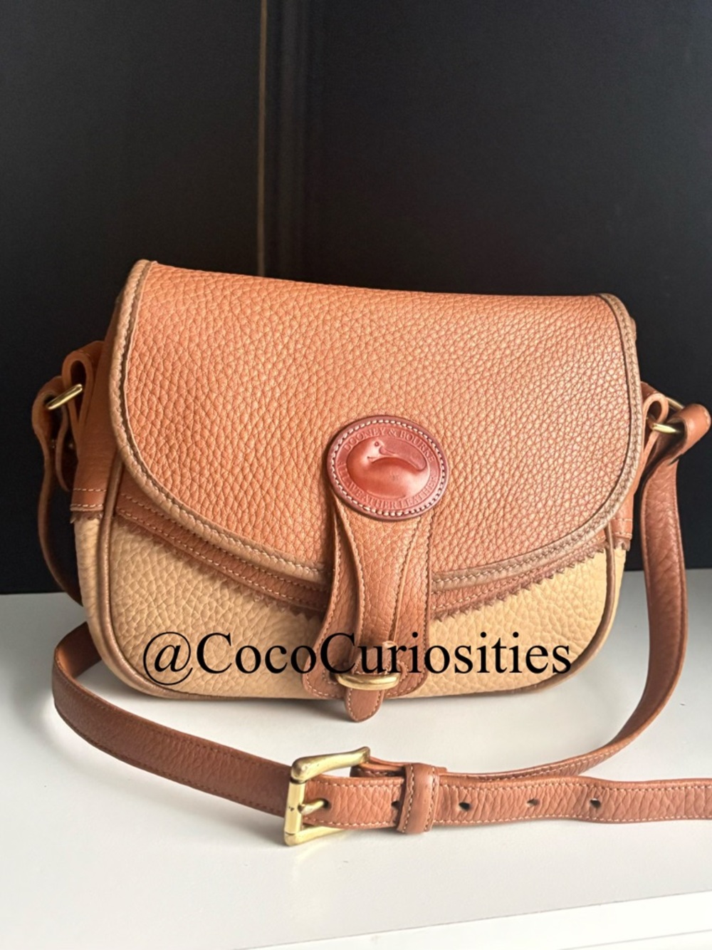 Dooney and Bourke awl Leather Teton Multi Color Crossbody - Picture 2 of 16